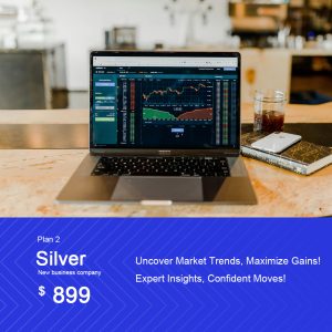 Silver Plan
